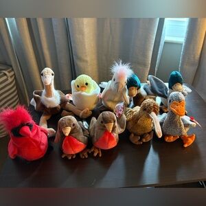 Birds Vintage Ty Beanie Babies- Lot of 10!!